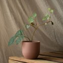 Donica SHIRE  pudrowy róż styl nowoczesny do wewnątrz ameliahome - FLOWERPOT/AH/SHIRE/POWDERPINK/10X9,5