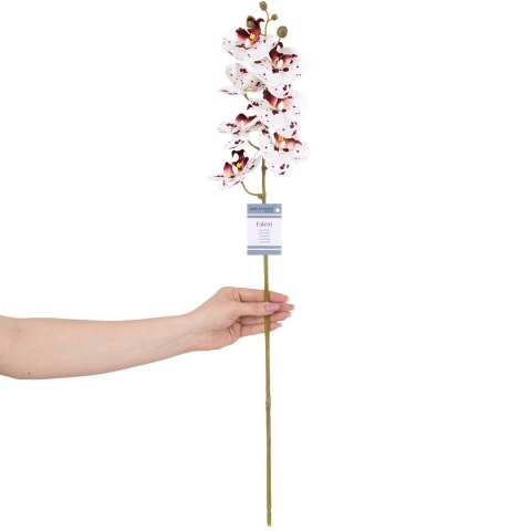 Sztuczny kwiat FALENI  biały styl nowoczesny ameliahome - ARTFLOWER/AH/FALENI/WHITE+PLUM/10PCS