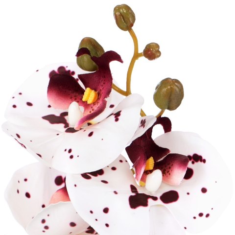 Sztuczny kwiat FALENI  biały styl nowoczesny ameliahome - ARTFLOWER/AH/FALENI/WHITE+PLUM/10PCS