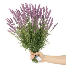 Sztuczny kwiat LAVI  fioletowy styl boho ameliahome - ARTFLOWER/AH/LAVI/18/10PCS