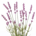 Sztuczny kwiat LAVI  fioletowy styl boho ameliahome - ARTFLOWER/AH/LAVI/18/10PCS