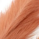 Sztuczny kwiat PAMPLY  koralowy ameliahome - PAMPAS/AH/PAMPLY/PEACH/110CM/3PCS