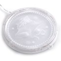 Dekoracja świąteczna REINDEERS MESS  transparentny do wewnątrz ameliahome - LEDPL/AH/REINDEERSMESS/ROUND/SET/5PCS