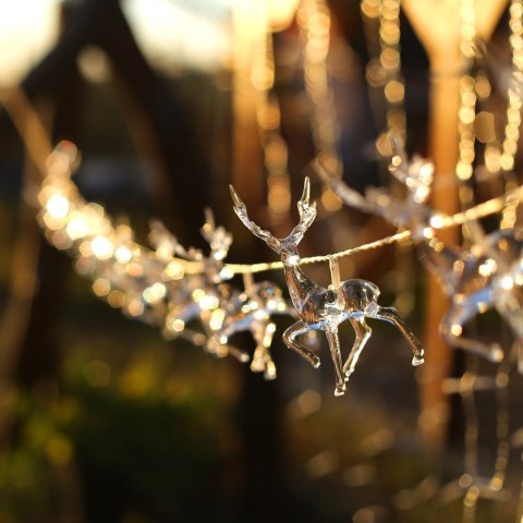 Dekoracja świąteczna decoking - LEDLIG/CHREINDEERS/CLEAR/UNI/10PCS