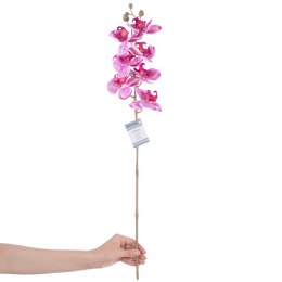 Sztuczny kwiat FALENI  fioletowy styl nowoczesny ameliahome - ARTFLOWER/AH/FALENI/PLUM/1PC