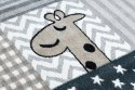 - RUG/LU/BEO/PETS/GREY/80x150