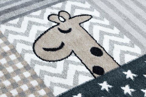 - RUG/LU/BEO/PETS/GREY/80x150