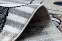 - RUG/LU/BEO/PETS/GREY/80x150
