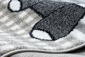 - RUG/LU/BEO/PETS/GREY/80x150