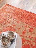 Dywan FRENCIE 2  czerwony styl ornament 160x235 Benuta - RUG/BENUT/FRENCIE/2/RED/160x235