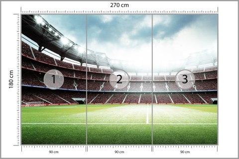 Fototapeta 3D Stadion Piłkarski Flizelina 270x180 FT-1805-VE270-180