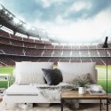 Fototapeta 3D Stadion Piłkarski Flizelina 312x219 FT-1805-VEXXL