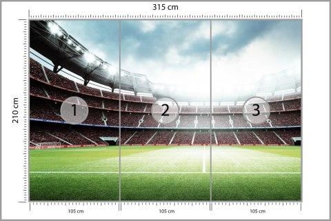 Fototapeta 3D Stadion Piłkarski Flizelina 315x210 FT-1805-VE315-210