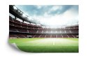 Fototapeta 3D Stadion Piłkarski Flizelina 368x254 FT-1805-V8