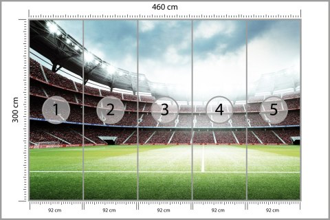 Fototapeta 3D Stadion Piłkarski Flizelina 460x300 FT-1805-V12