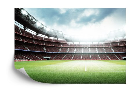 Fototapeta 3D Stadion Piłkarski Tapeta Samoprzylepna 460x300 FT-1805-SK12