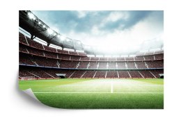 Fototapeta 3D Stadion Piłkarski Tapeta Samoprzylepna 520x318 FT-1805-SKXXXXXL