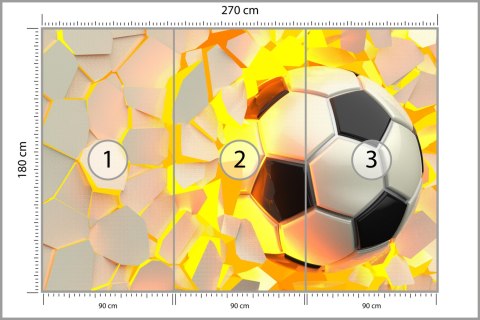 Fototapeta Piłka Nożna Sport Flizelina 270x180 FT-1881-VE270-180