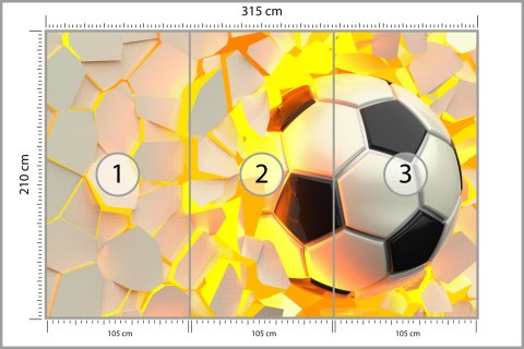 Fototapeta Piłka Nożna Sport Flizelina Zmywalna 315x210 FT-1881-VEML315-210