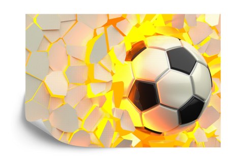 Fototapeta Piłka Nożna Sport Flizelina Zmywalna 400x280 FT-1881-VEML400-280