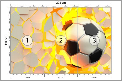 Fototapeta Piłka Nożna Sport Vinyl Gładki 208x146 FT-1881-VGXL