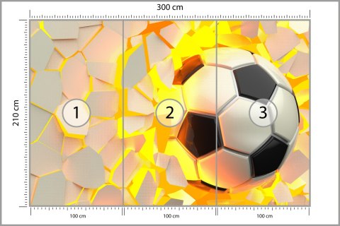 Fototapeta Piłka Nożna Sport Vinyl Gładki 300x210 FT-1881-VG300-210