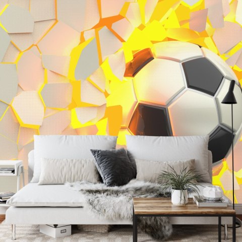 Fototapeta Piłka Nożna Sport Vinyl Gładki 312x219 FT-1881-VGXXL