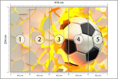 Fototapeta Piłka Nożna Sport Vinyl Strukturalny 416x254 FT-1881-VSXXXL