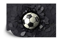 Fototapeta Dla Chłopca Sport Piłka Tapeta Samoprzylepna 360x240 FT-1926-SK360-240