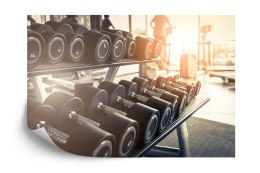 Fototapeta Hantle Na Siłowni 3D Vinyl Strukturalny 180x120 FT-3956-VS180-120