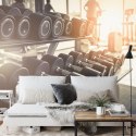 Fototapeta Hantle Na Siłowni 3D Vinyl Strukturalny 180x120 FT-3956-VS180-120