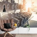 Fototapeta Hantle Na Siłowni 3D Vinyl Strukturalny 180x120 FT-3956-VS180-120