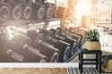 Fototapeta Hantle Na Siłowni 3D Vinyl Strukturalny 180x120 FT-3956-VS180-120