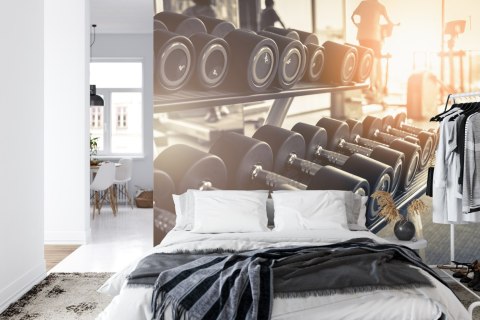 Fototapeta Hantle Na Siłowni 3D Vinyl Strukturalny 180x120 FT-3956-VS180-120