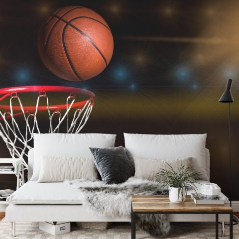 Fototapeta Piłka W Koszu Vinyl Gładki 405x270 FT-3124-VG405-270