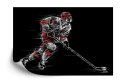 Fototapeta Rysowany Hokeista Vinyl Strukturalny 254x184 FT-3840-VS4