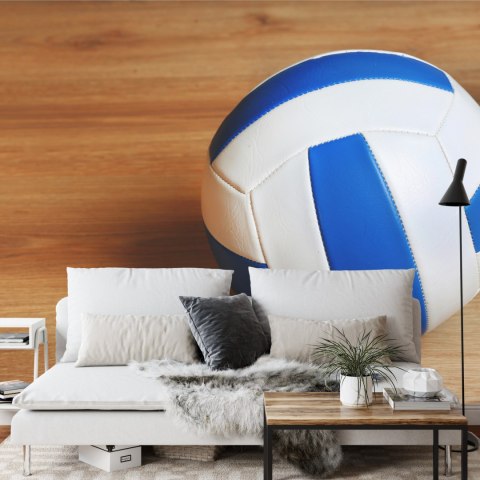 Fototapeta Piłka Siatkowa Flizelina 368x254 FT-3171-V8