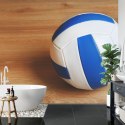 Fototapeta Piłka Siatkowa Flizelina 368x254 FT-3171-V8