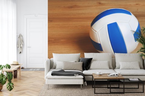 Fototapeta Piłka Siatkowa Flizelina 416x254 FT-3171-VEXXXL