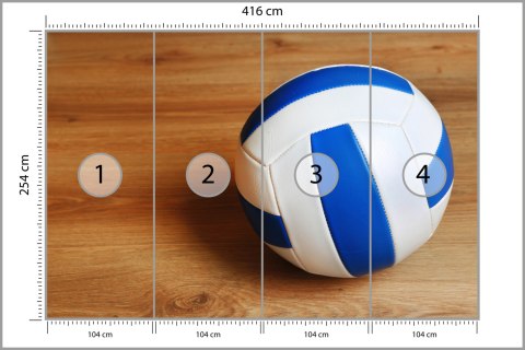 Fototapeta Piłka Siatkowa Flizelina 416x254 FT-3171-VEXXXL