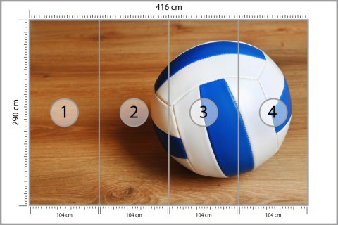 Fototapeta Piłka Siatkowa Flizelina 416x290 FT-3171-VEXXXXL