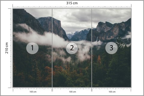 Fototapeta Las We Mgle Flizelina 315x210 FT-11-VE315-210