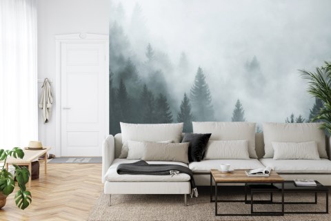 Fototapeta Las We Mgle Flizelina 520x318 FT-24-VEXXXXXL