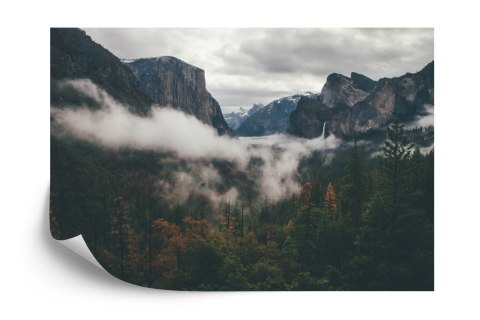 Fototapeta Las We Mgle Flizelina Zmywalna 180x120 FT-11-VEML180-120