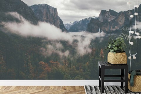 Fototapeta Las We Mgle Flizelina Zmywalna 368x254 FT-11-VEML8