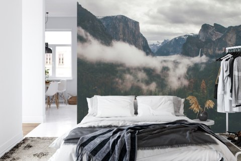 Fototapeta Las We Mgle Tapeta Samoprzylepna 368x254 FT-11-SK8