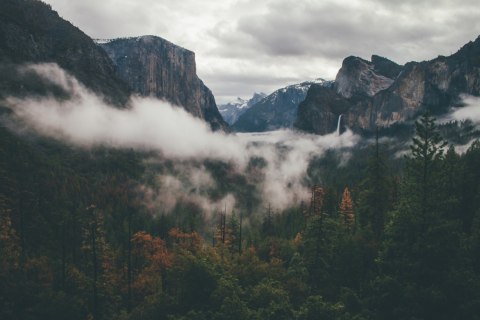 Fototapeta Las We Mgle Tapeta Samoprzylepna 460x300 FT-11-SK12