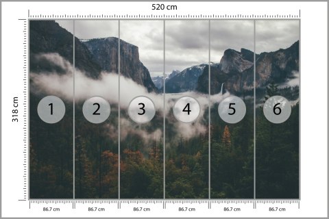 Fototapeta Las We Mgle Tapeta Samoprzylepna 520x318 FT-11-SKXXXXXL