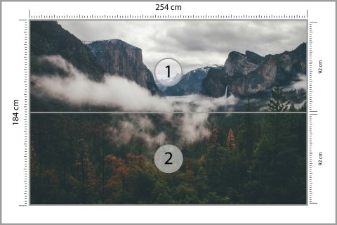 Fototapeta Las We Mgle Vinyl Gładki 254x184 FT-11-VG4