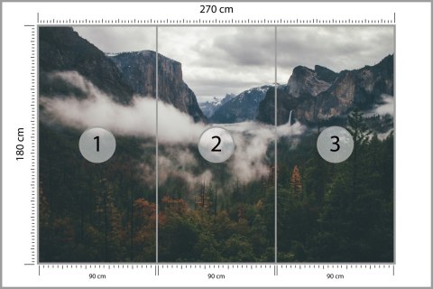 Fototapeta Las We Mgle Vinyl Gładki 270x180 FT-11-VG270-180